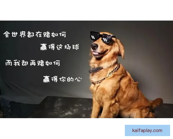 全面解读世界杯买球盘口变化趋势与实战投注策略指南助你把握赛事